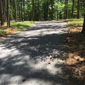 Review photo of Red Top Mountain State Park Campground by Shelly S., June 9, 2017