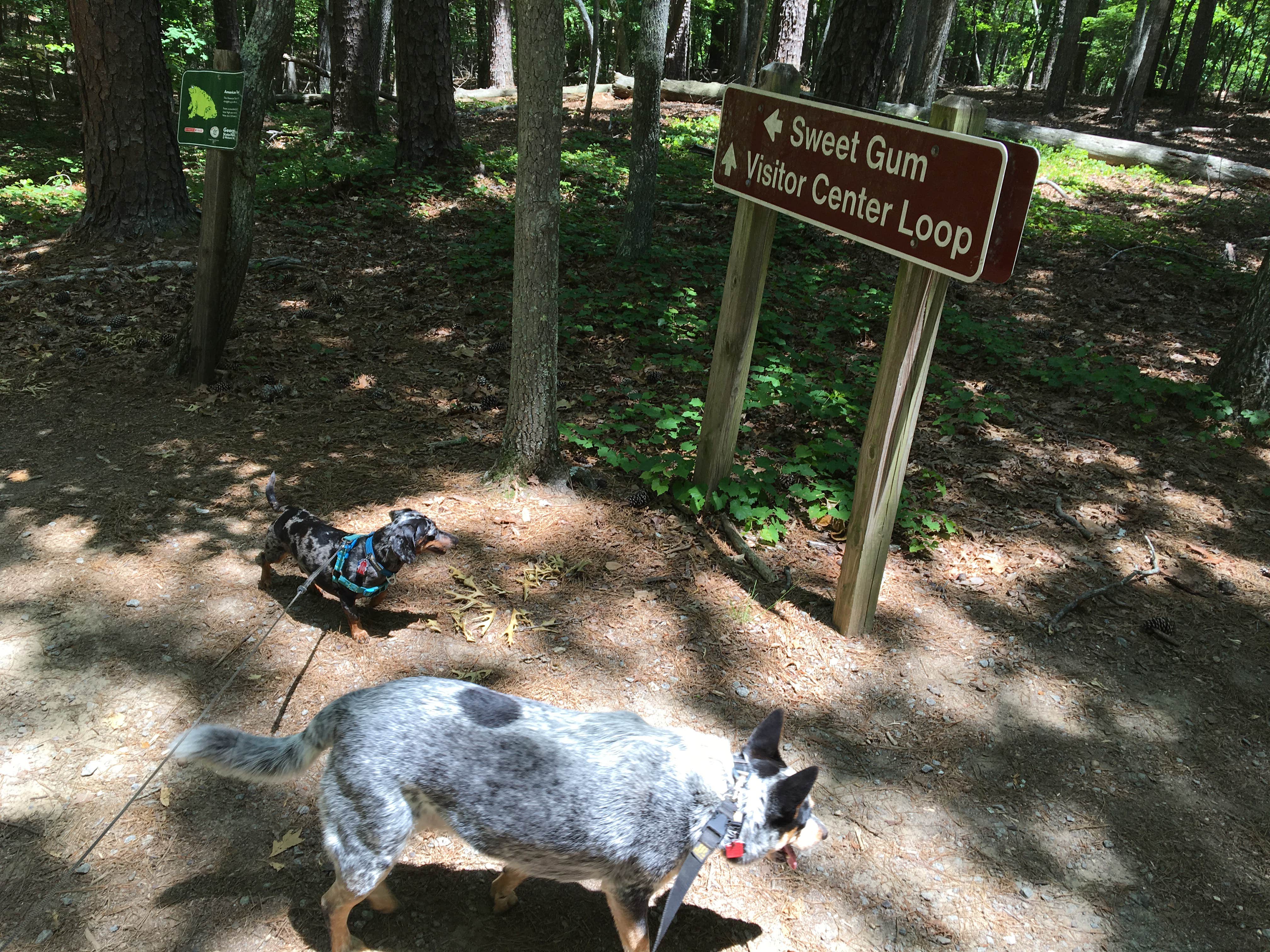 Camper-submitted photo at Red Top Mountain State Park Campground in Georgia