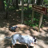 Review photo of Red Top Mountain State Park Campground by Shelly S., June 9, 2017