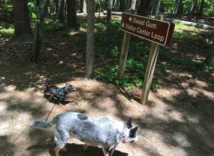 Red Top Mountain State Park Campground
