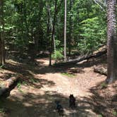 Review photo of Red Top Mountain State Park Campground by Shelly S., June 9, 2017