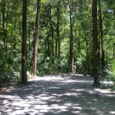 Review photo of Chassahowitzka River Campground by Jeanene A., June 9, 2017