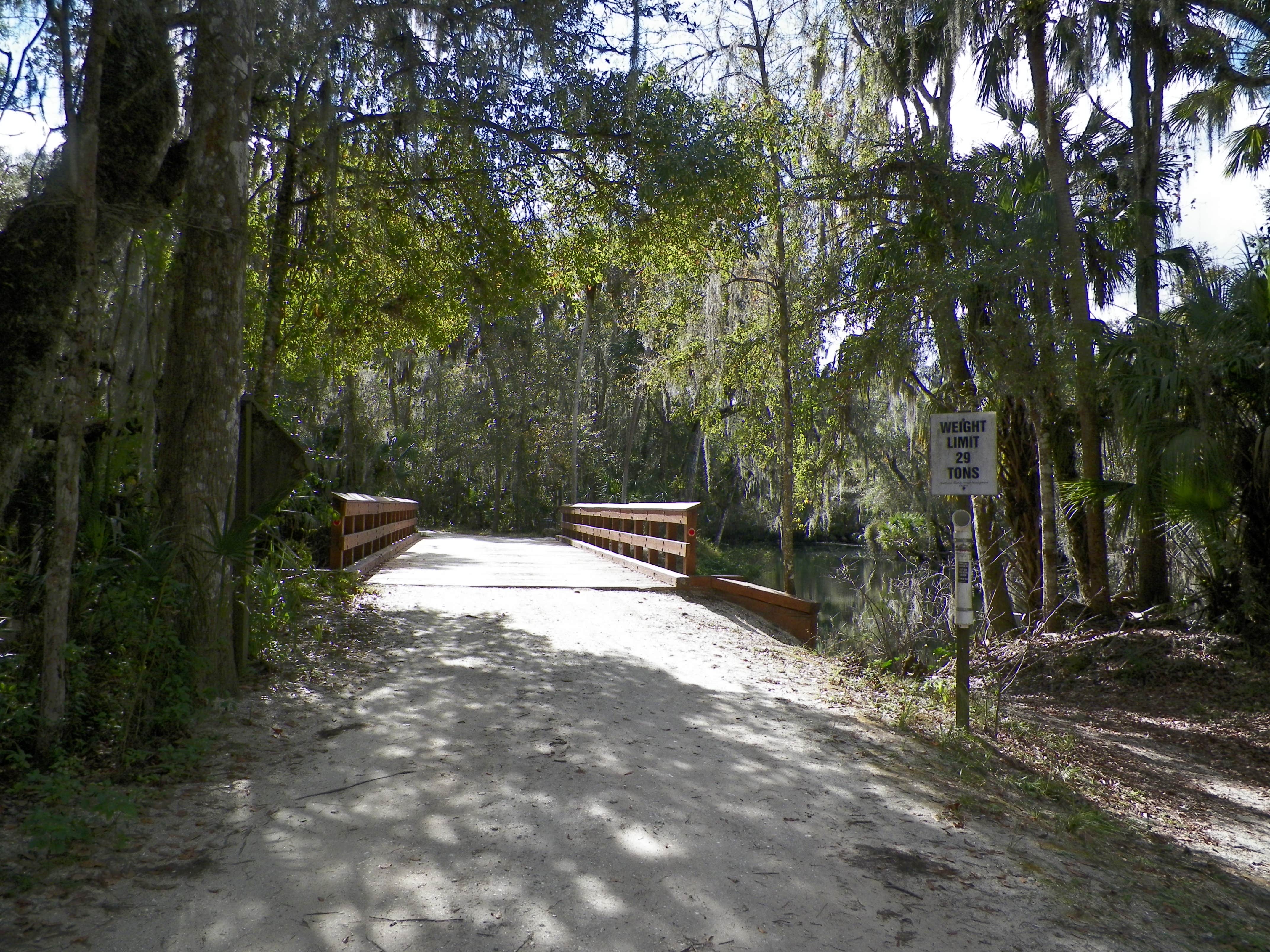 Camper submitted image from Dead River Wilderness Park - 2