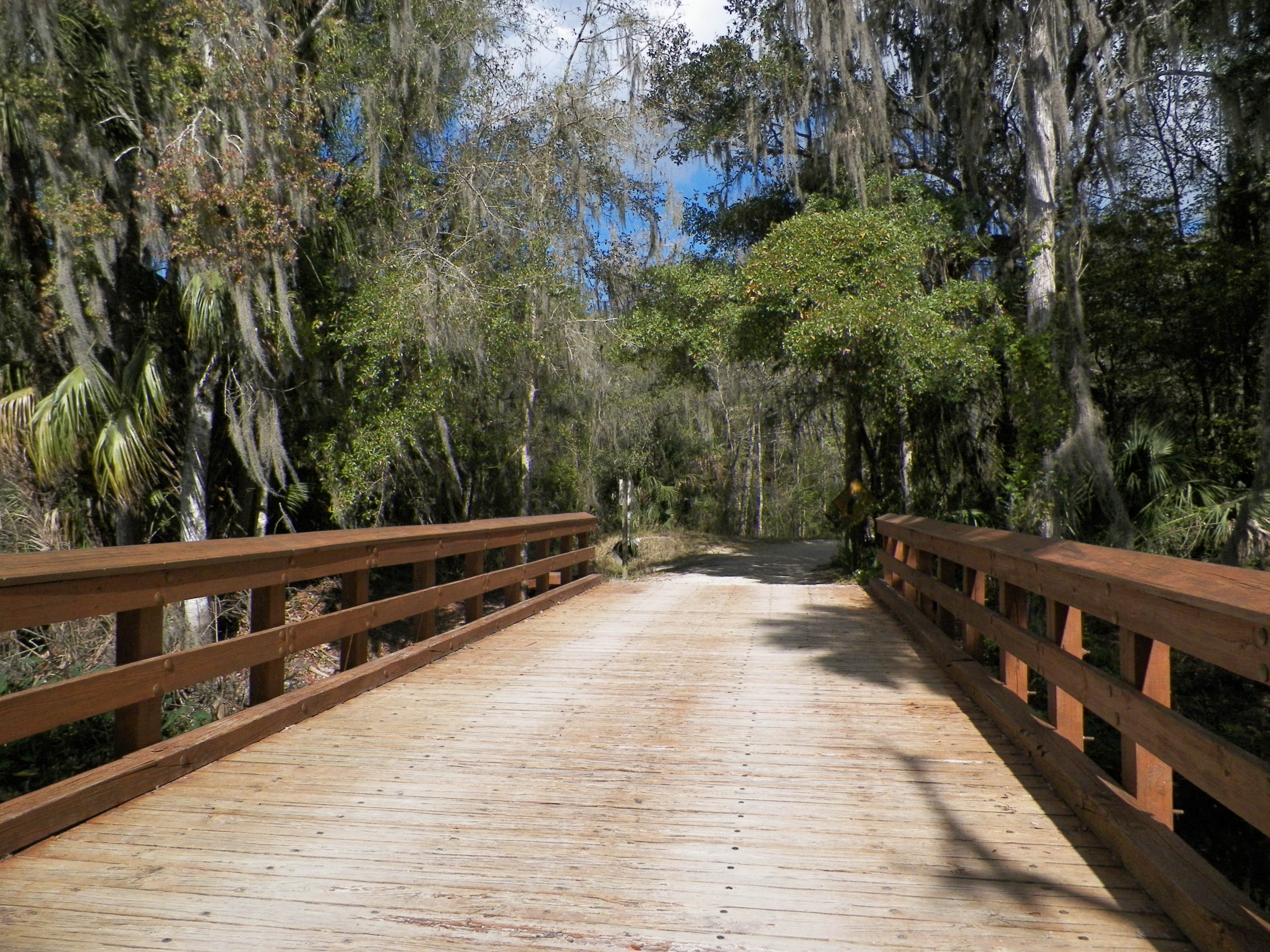 Camper submitted image from Dead River Wilderness Park - 5