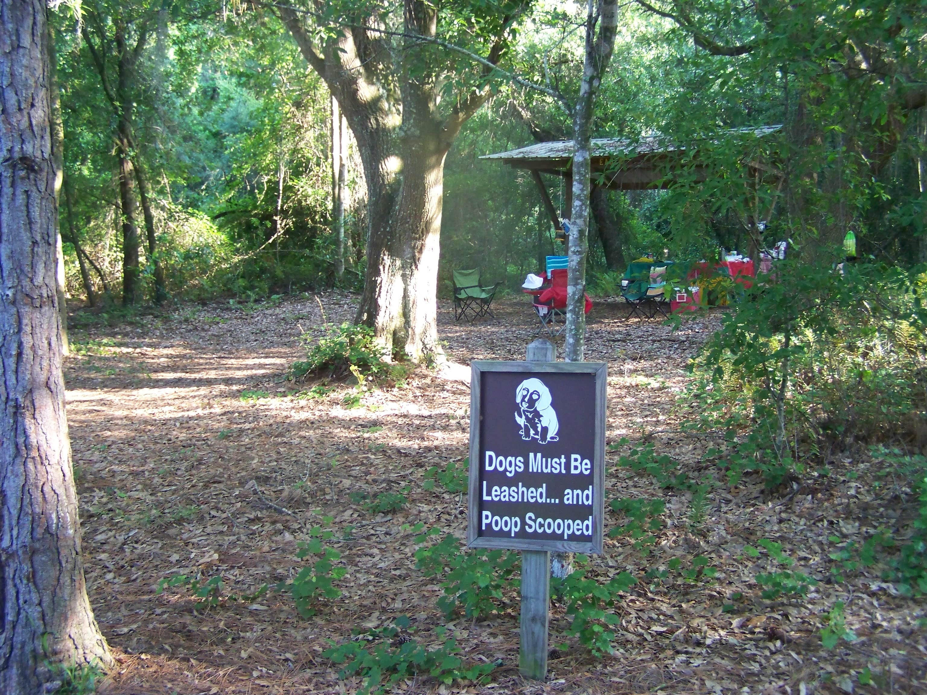Camper-submitted photo at Lake Rogers Park near Riverview, FL