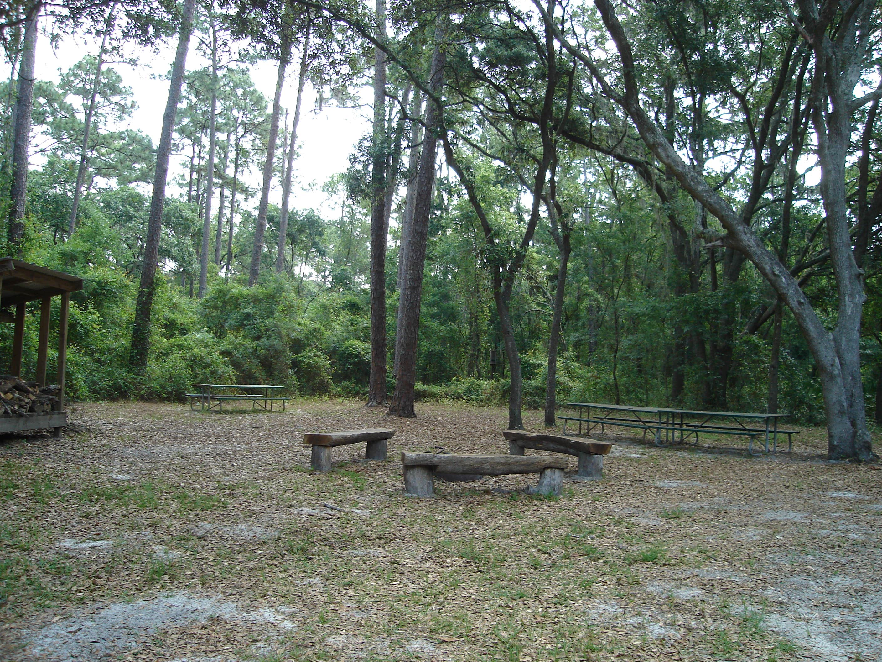 Camper submitted image from Lake Rogers Park - 1