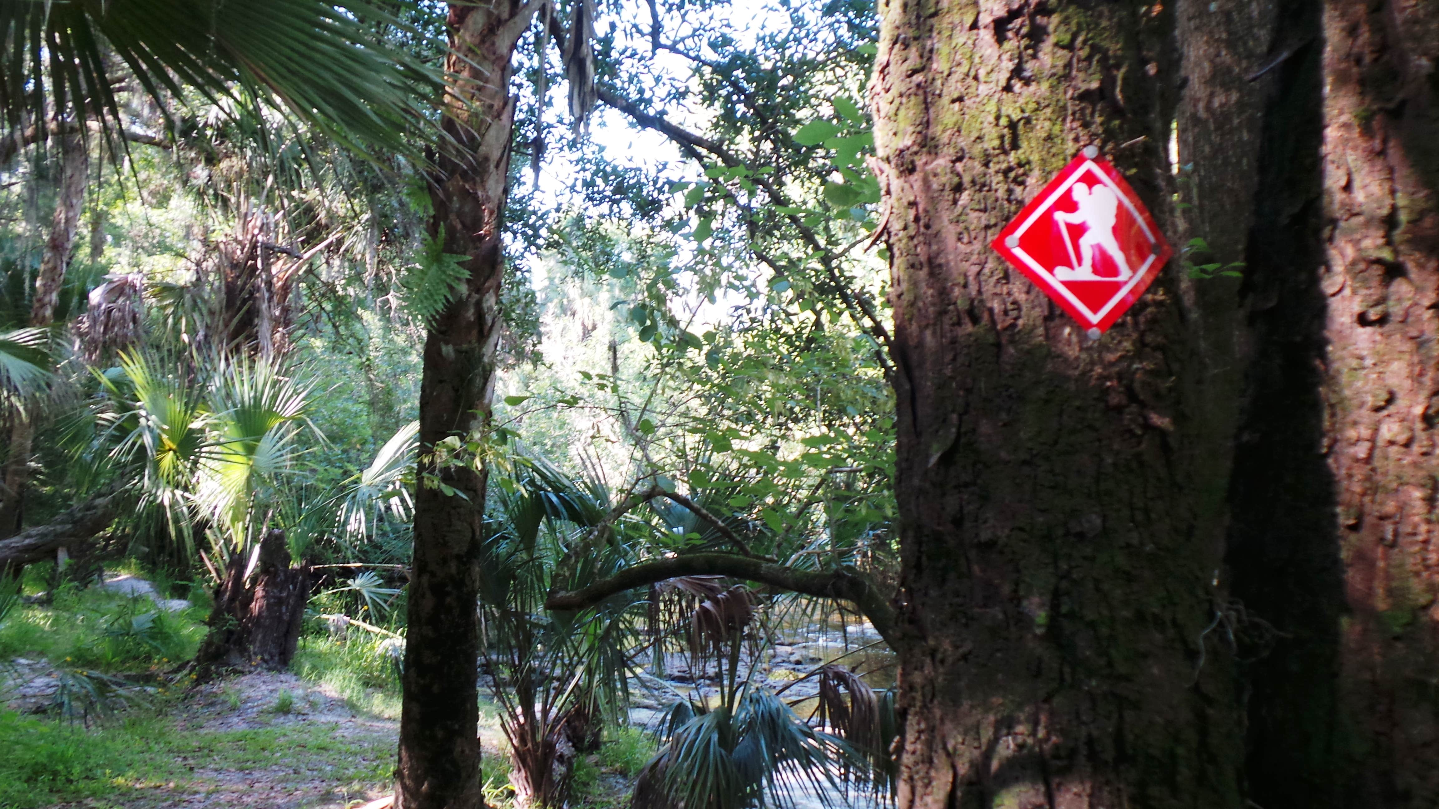 Camper-submitted photo at Alderman's Ford Conservation Park Primitive Campground near Plant City, FL