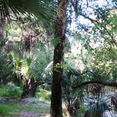Review photo of Alderman's Ford Conservation Park Primitive Campground by Jeanene A., June 9, 2017