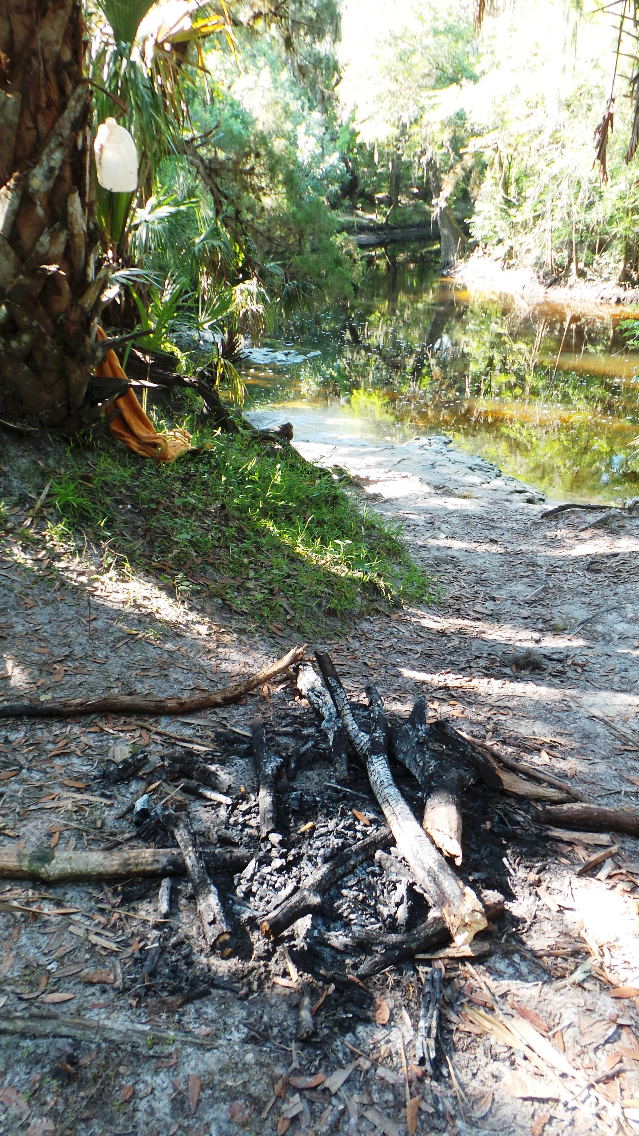 Camper-submitted photo at Alderman's Ford Conservation Park Primitive Campground near Plant City, FL