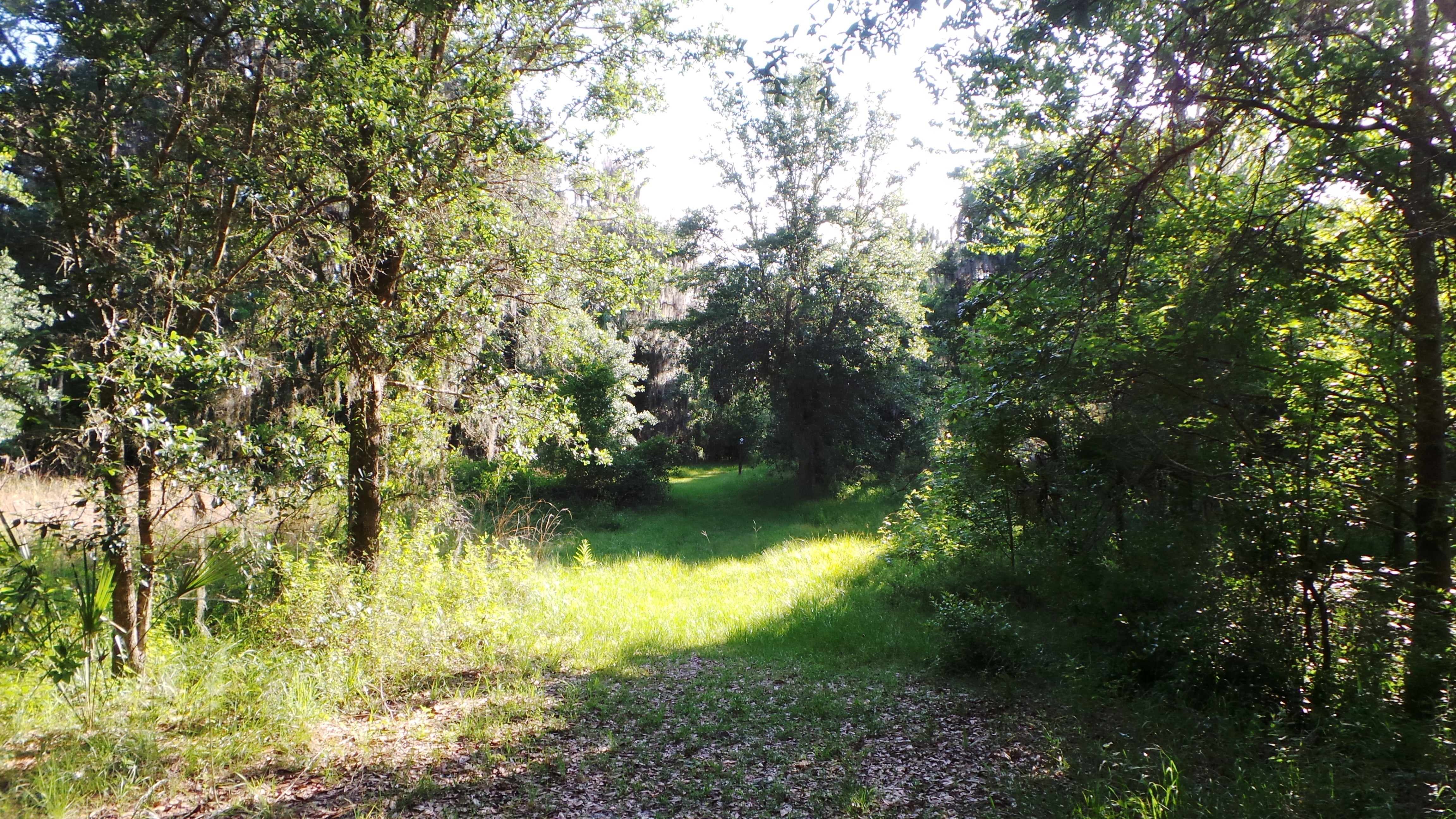2nd trail goes through meadow and woods