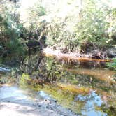 Review photo of Alderman's Ford Conservation Park Primitive Campground by Jeanene A., June 9, 2017