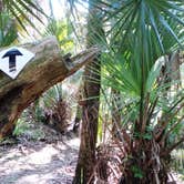 Review photo of Alderman's Ford Conservation Park Primitive Campground by Jeanene A., June 9, 2017