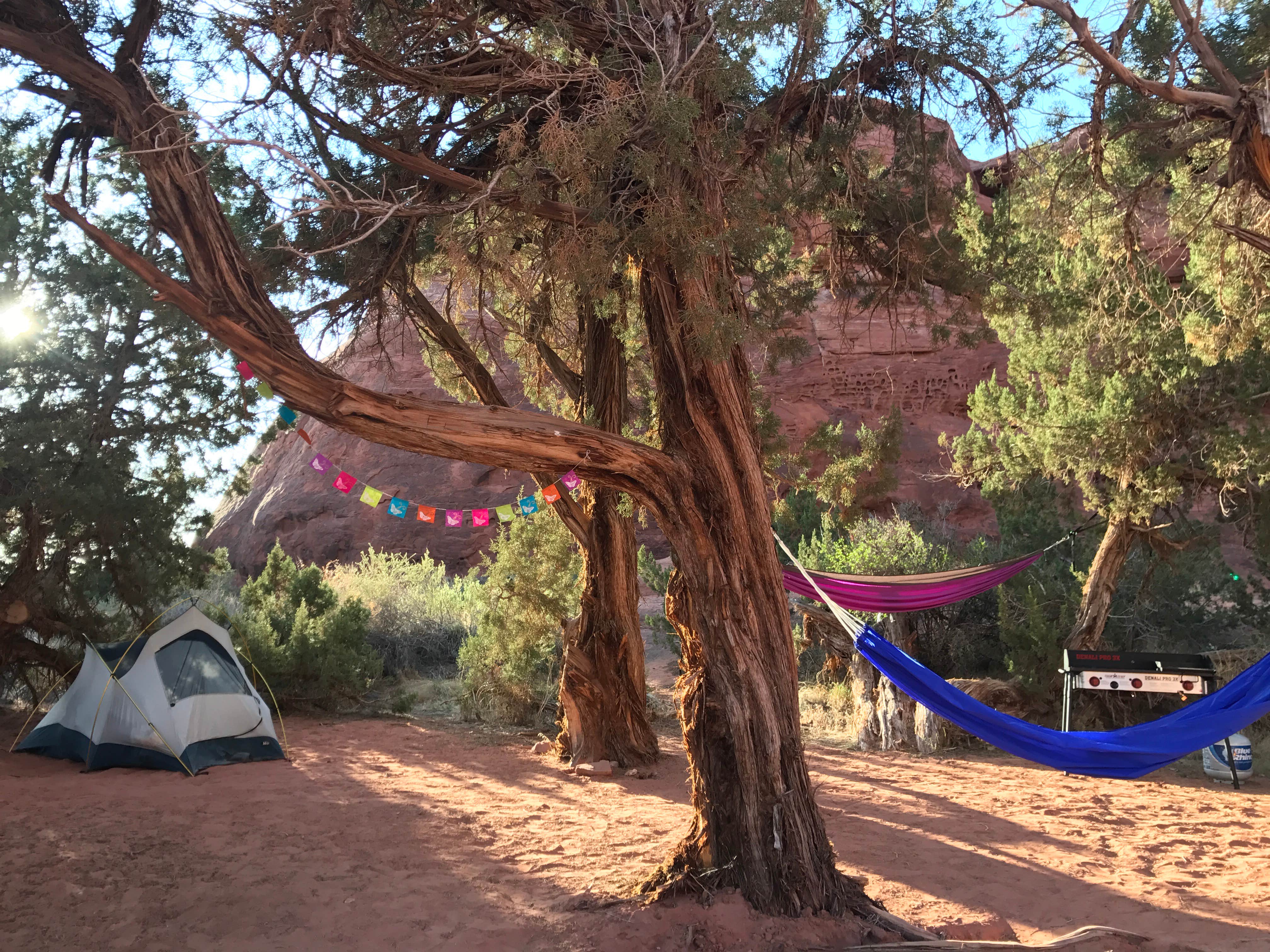 Camper submitted image from Needles Outpost Campground - 1