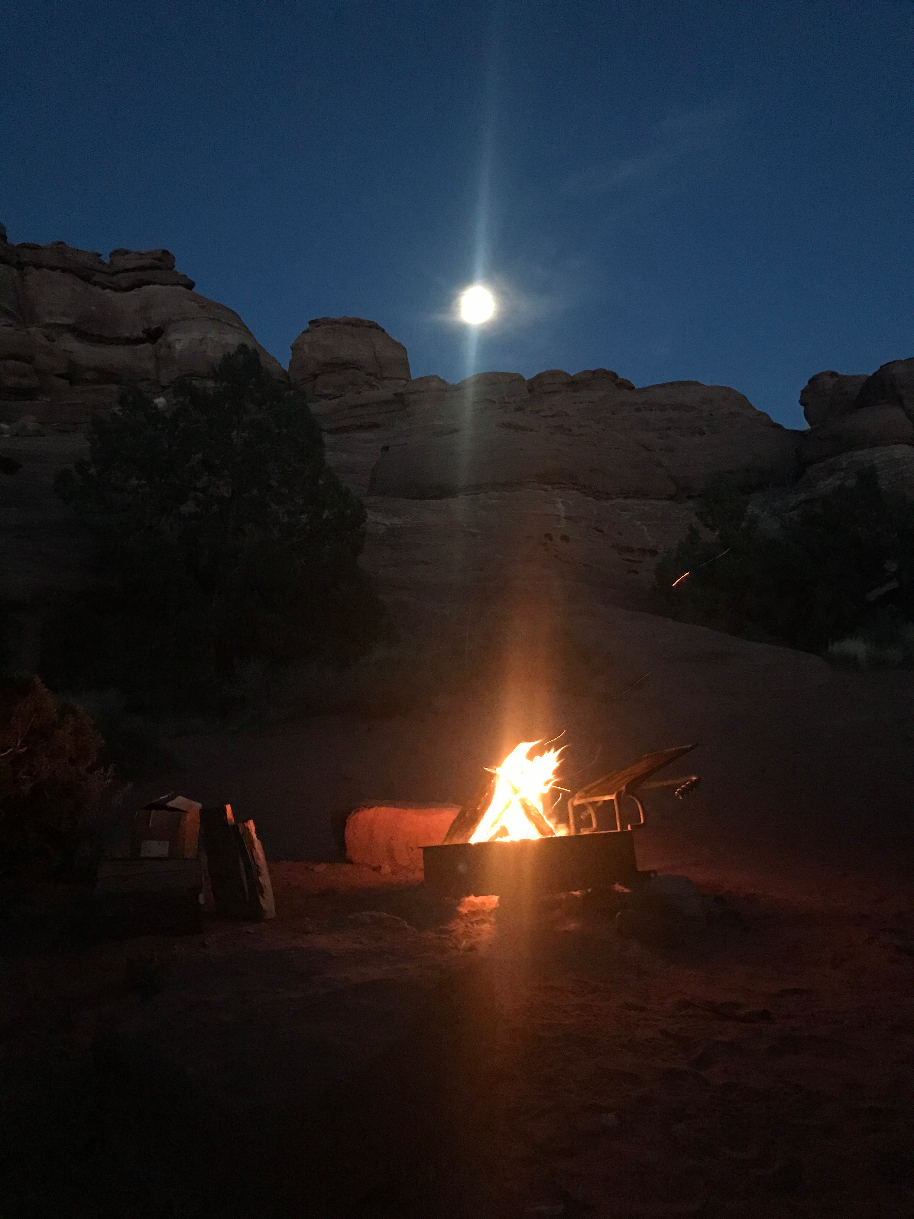 Camper submitted image from Needles Outpost Campground - 4