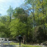 Review photo of Auburn RV Park at Leisure Time Campground by Penny E., June 9, 2017