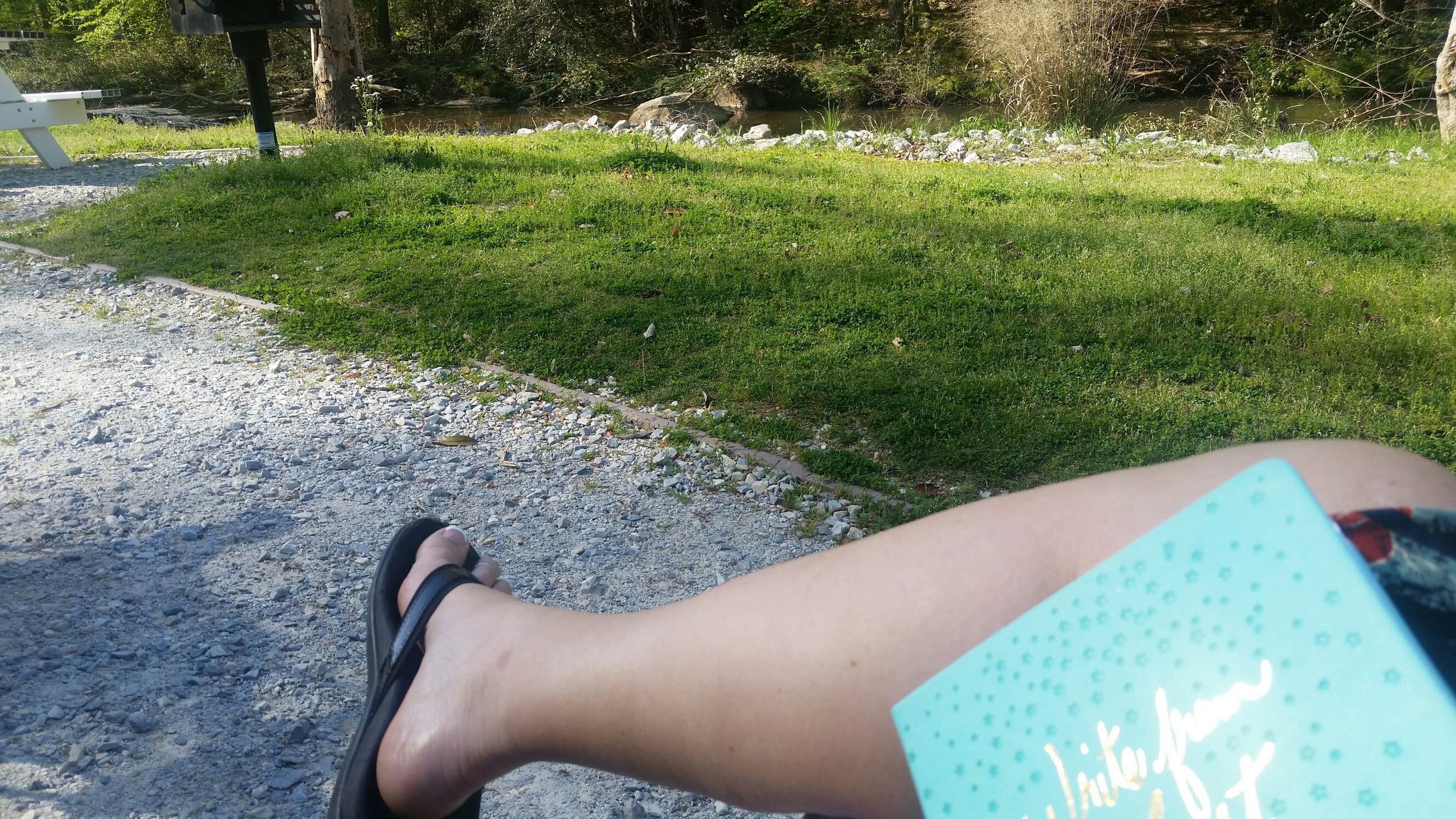 Enjoying the morning 