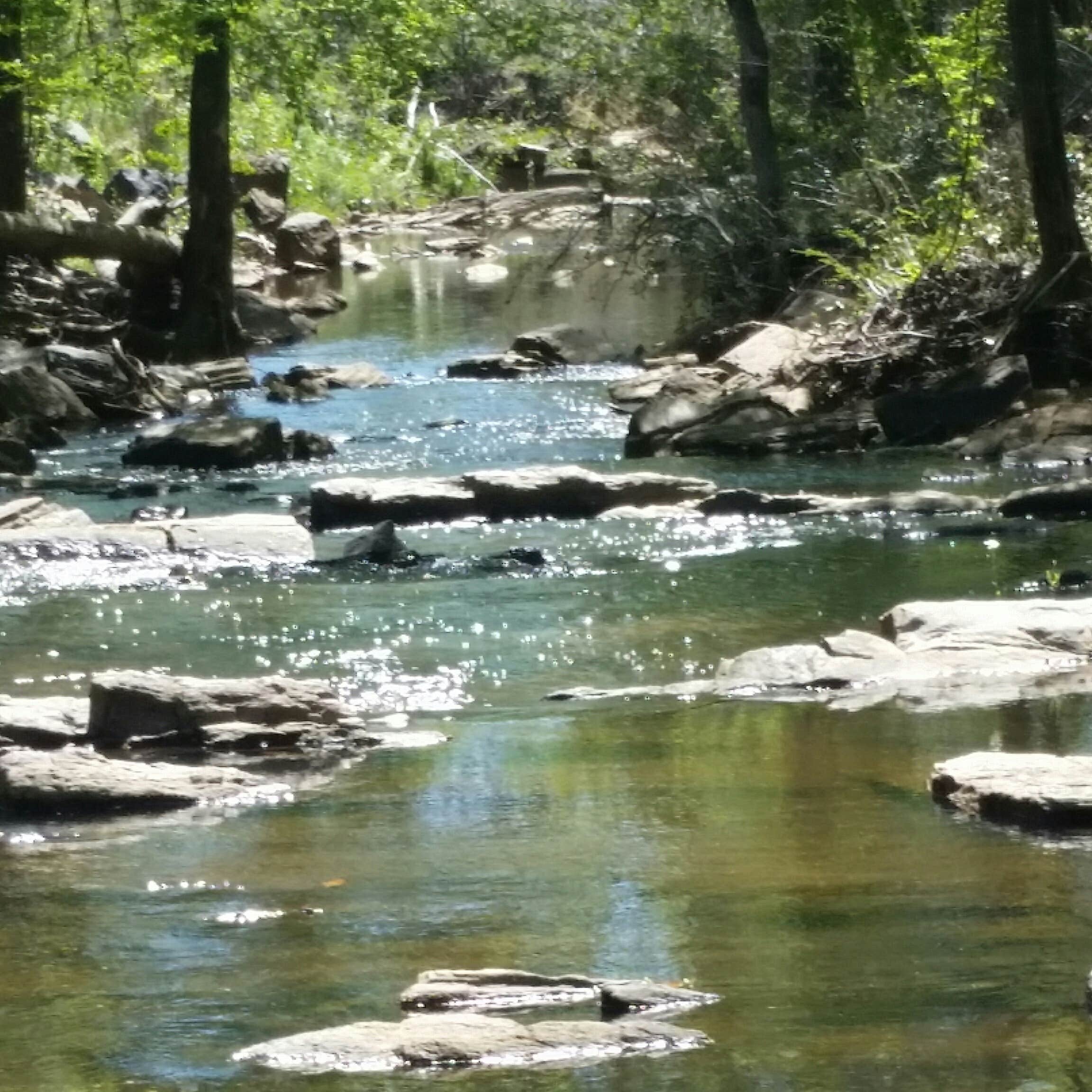 Camper submitted image from Auburn RV Park at Leisure Time Campground - 5