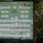 Review photo of Cayo Costa State Park Campground by Jeanene A., June 9, 2017