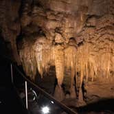 Review photo of Mammoth Cave Campground — Mammoth Cave National Park by Erin H., June 9, 2017