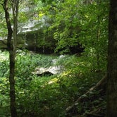 Review photo of Mammoth Cave Campground — Mammoth Cave National Park by Erin H., June 9, 2017