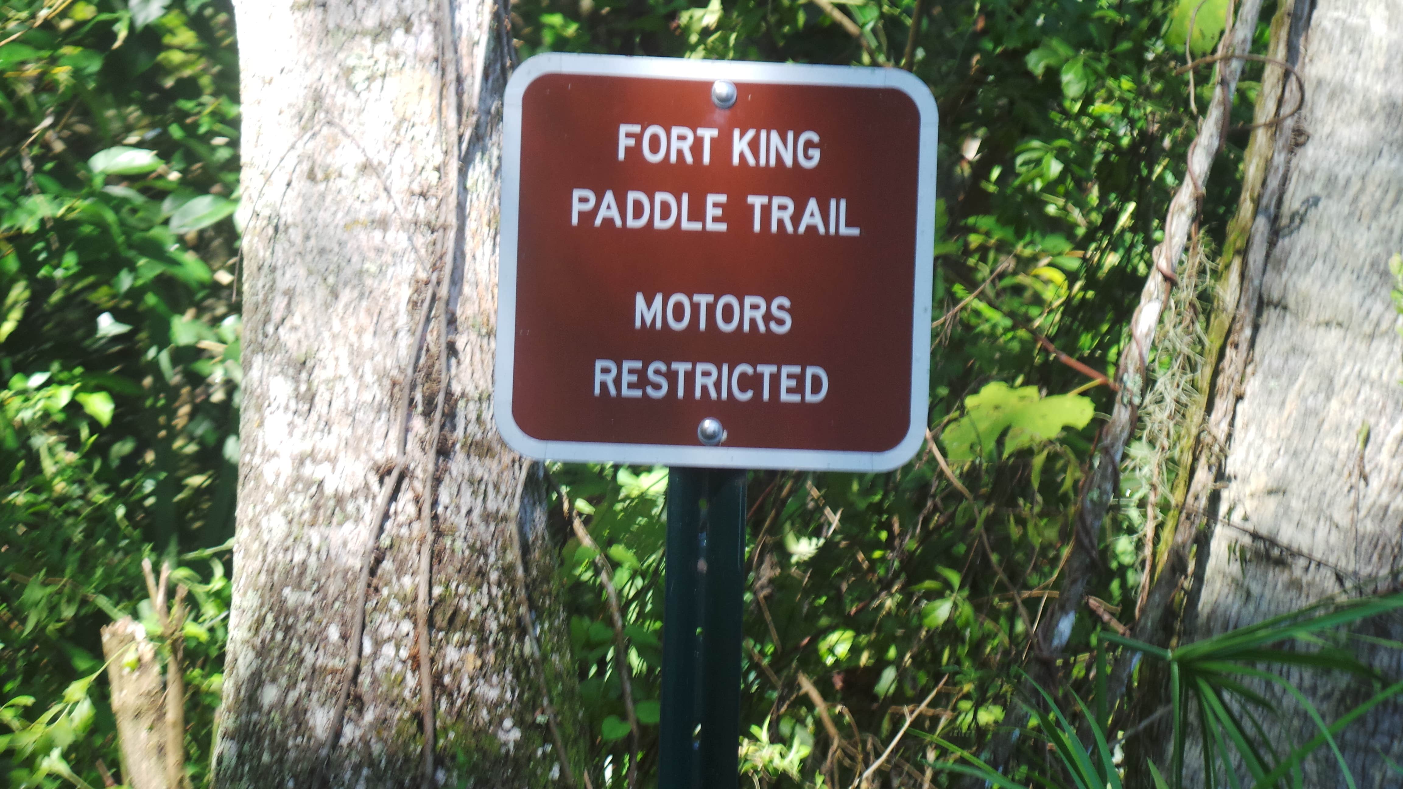 Camper submitted image from Silver Springs State Park Campground - 2