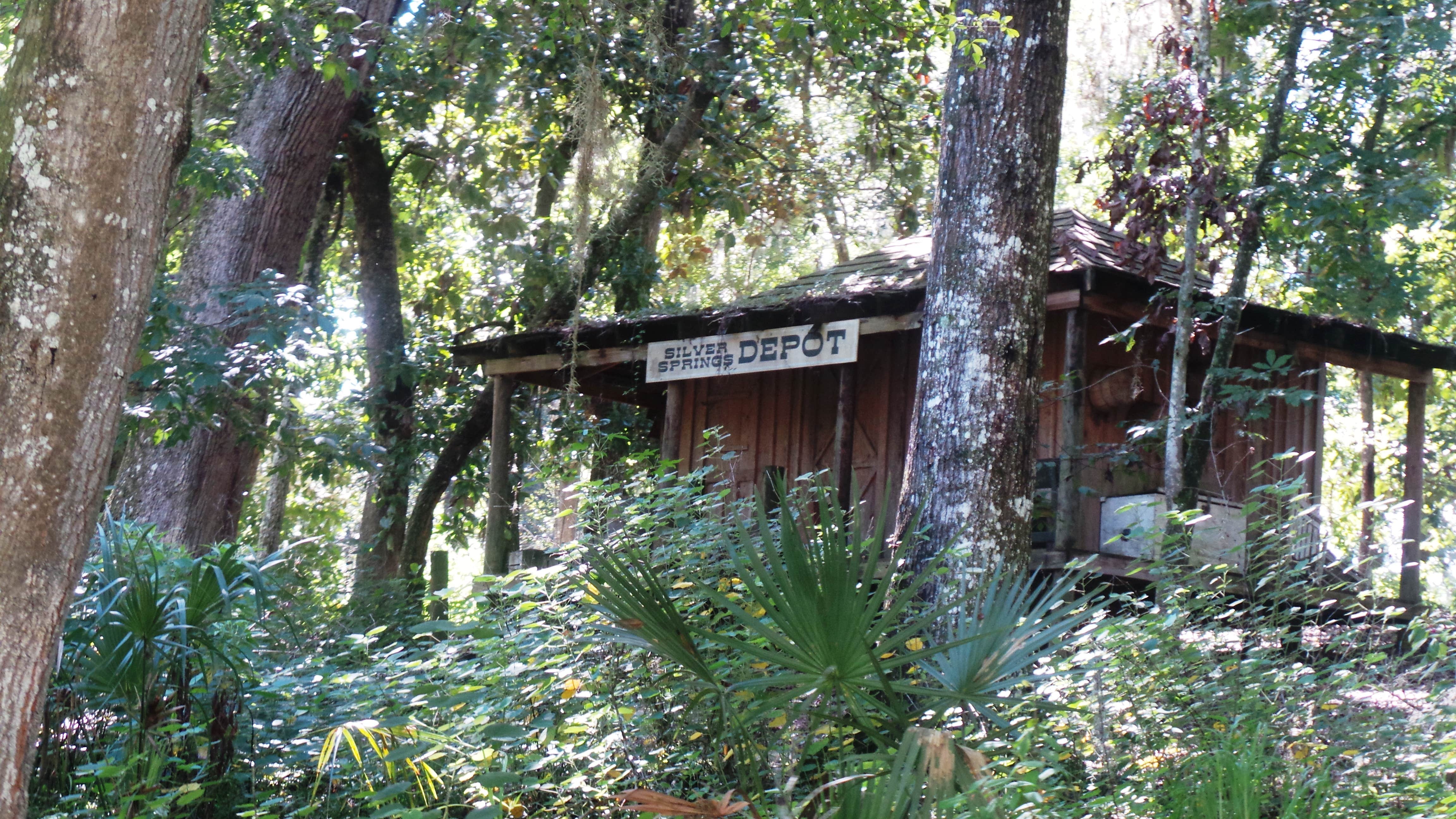 Jeanene A.'s photo of glamping accommodations at Silver Springs State Park Campground near Welaka, FL