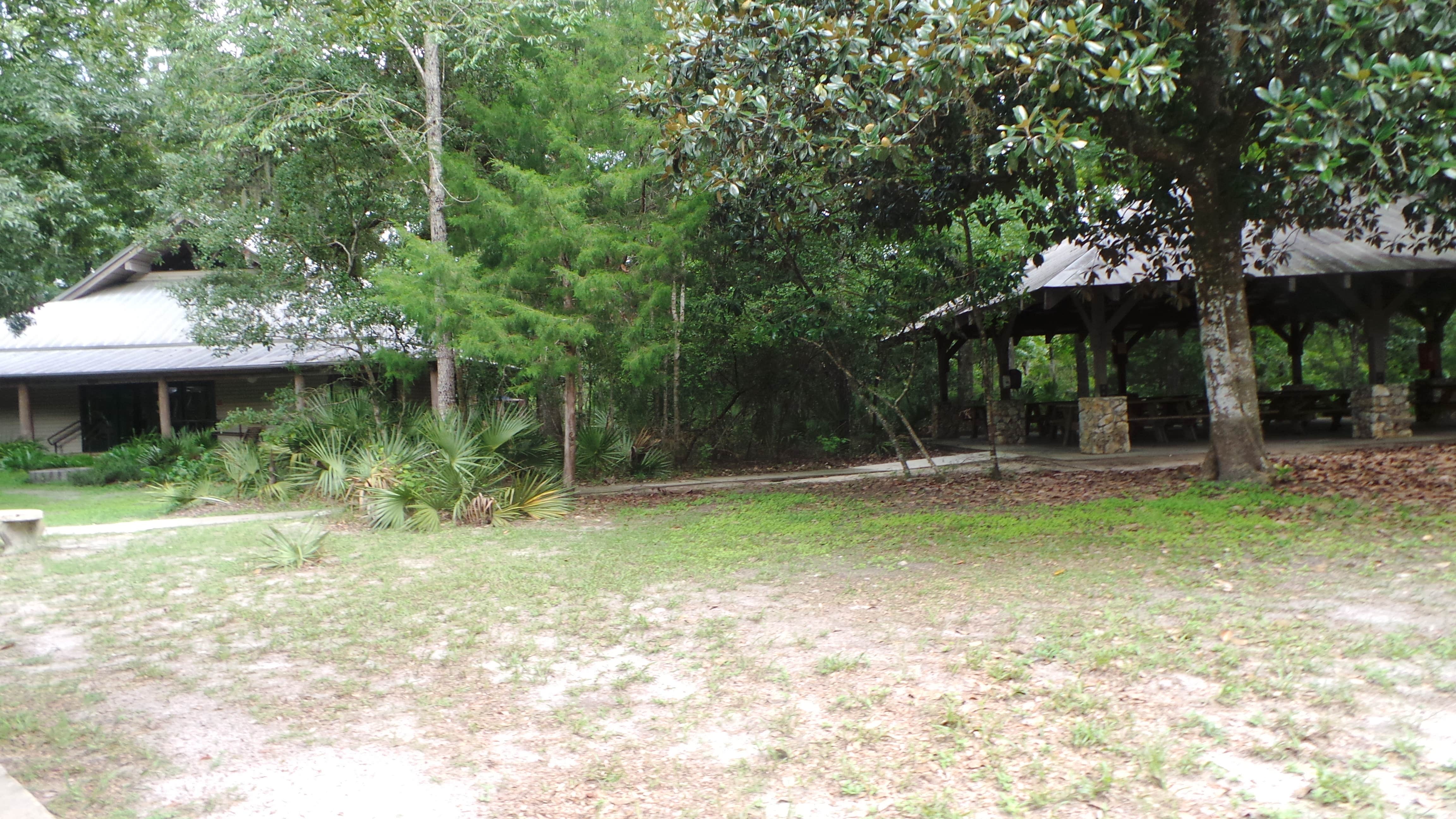 Camper submitted image from Silver Springs State Park Campground - 3