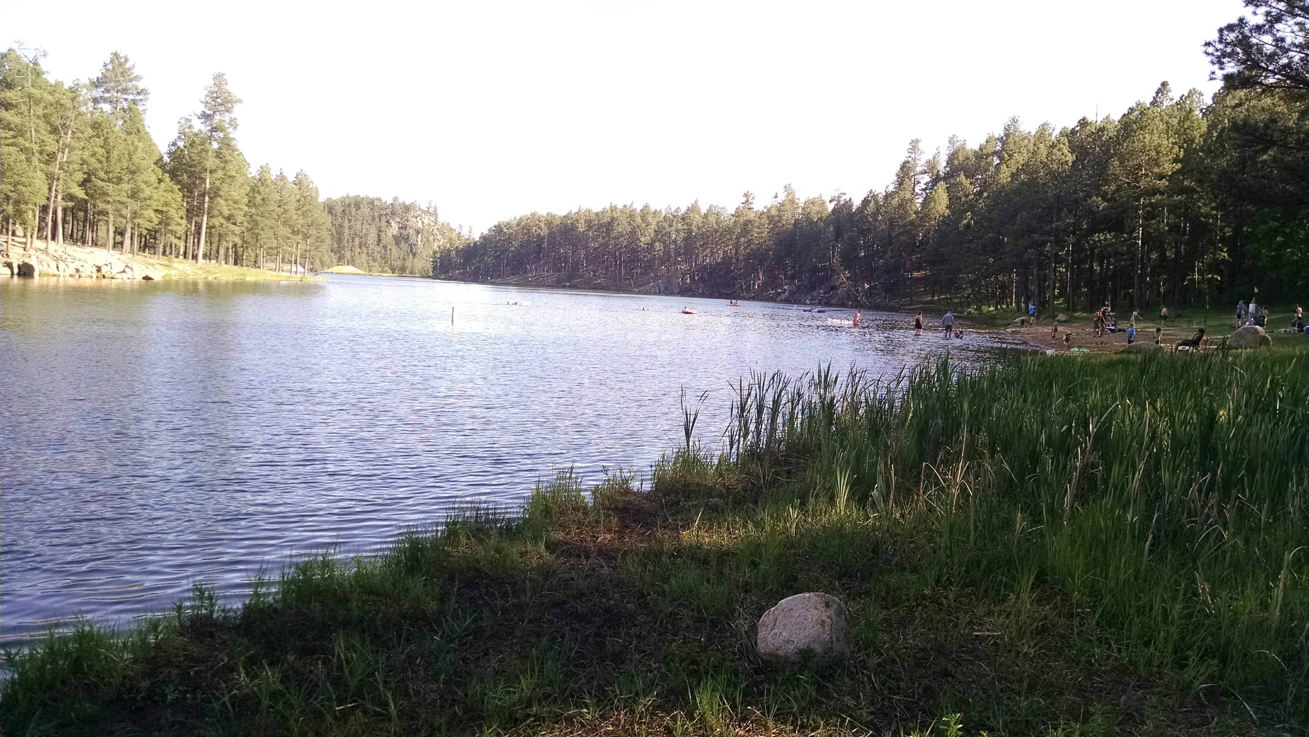 Camper submitted image from Center Lake Campground — Custer State Park - 5