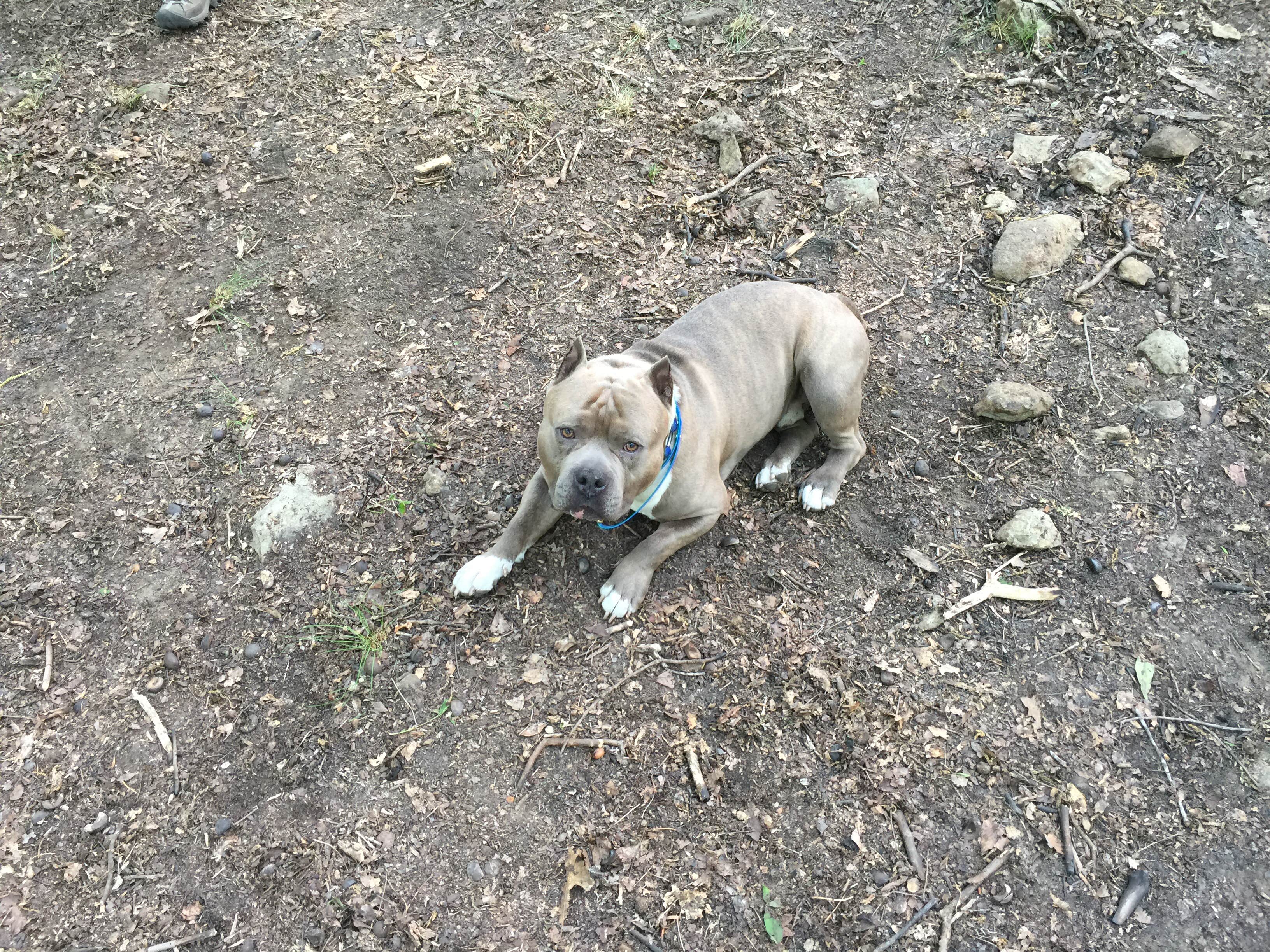 Camper-submitted photo at Uwharrie Hunt Camp near Indian Trail, NC