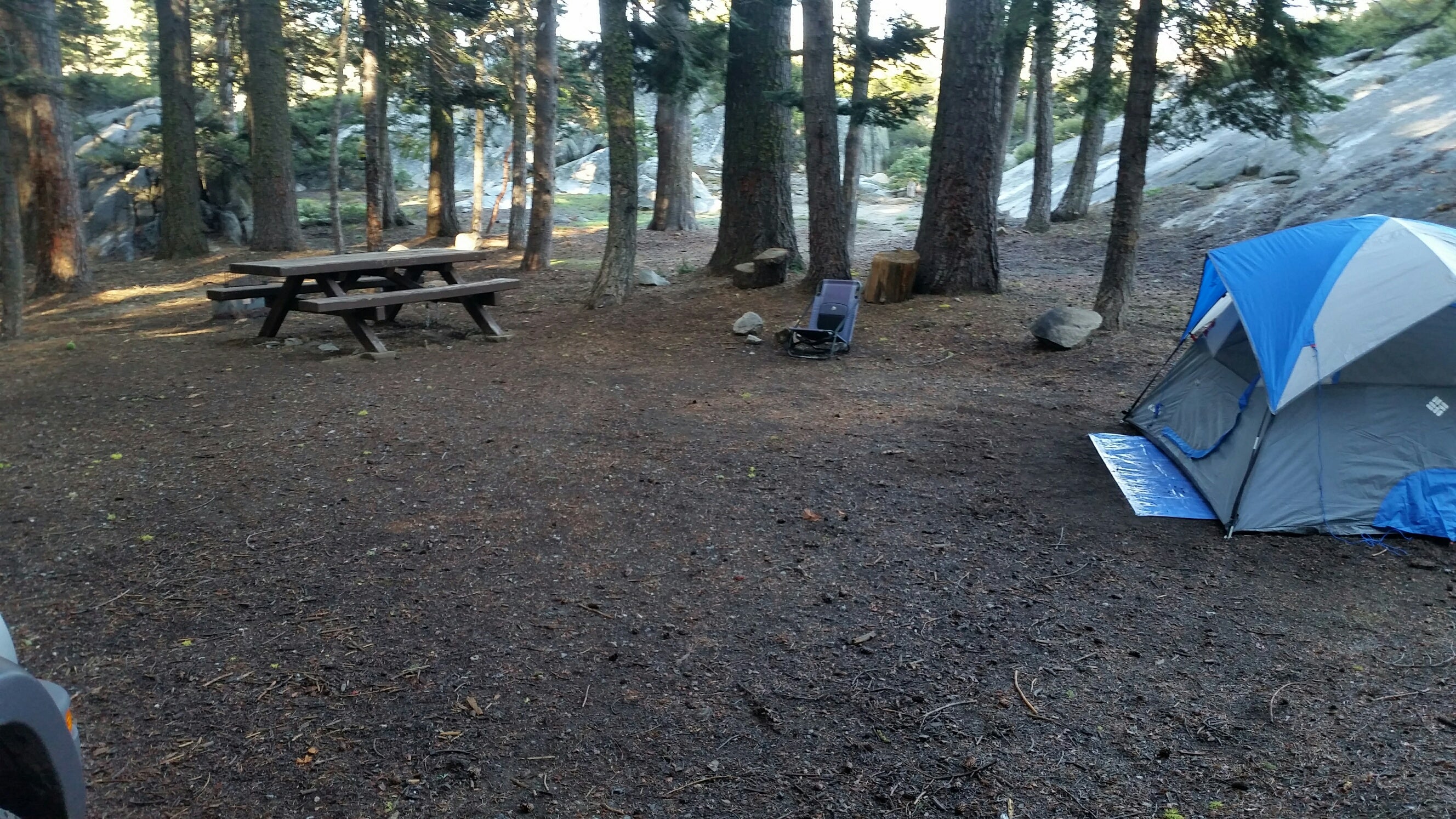 Camper submitted image from Stanislaus River Campground - 5