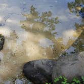 Review photo of Ottawa Lake Campground — Kettle Moraine State Forest-Southern Unit by Autumn S., June 11, 2017