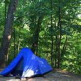 Review photo of Interstate State Park — Interstate State Park by Nina T., June 11, 2017
