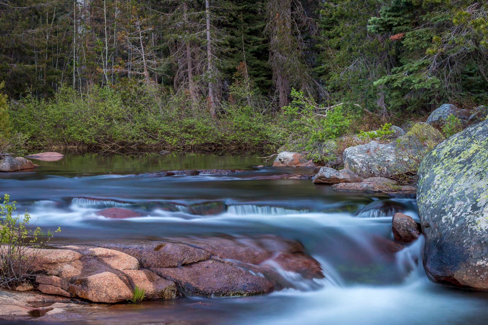 Camper submitted image from Stanislaus River Campground - 2