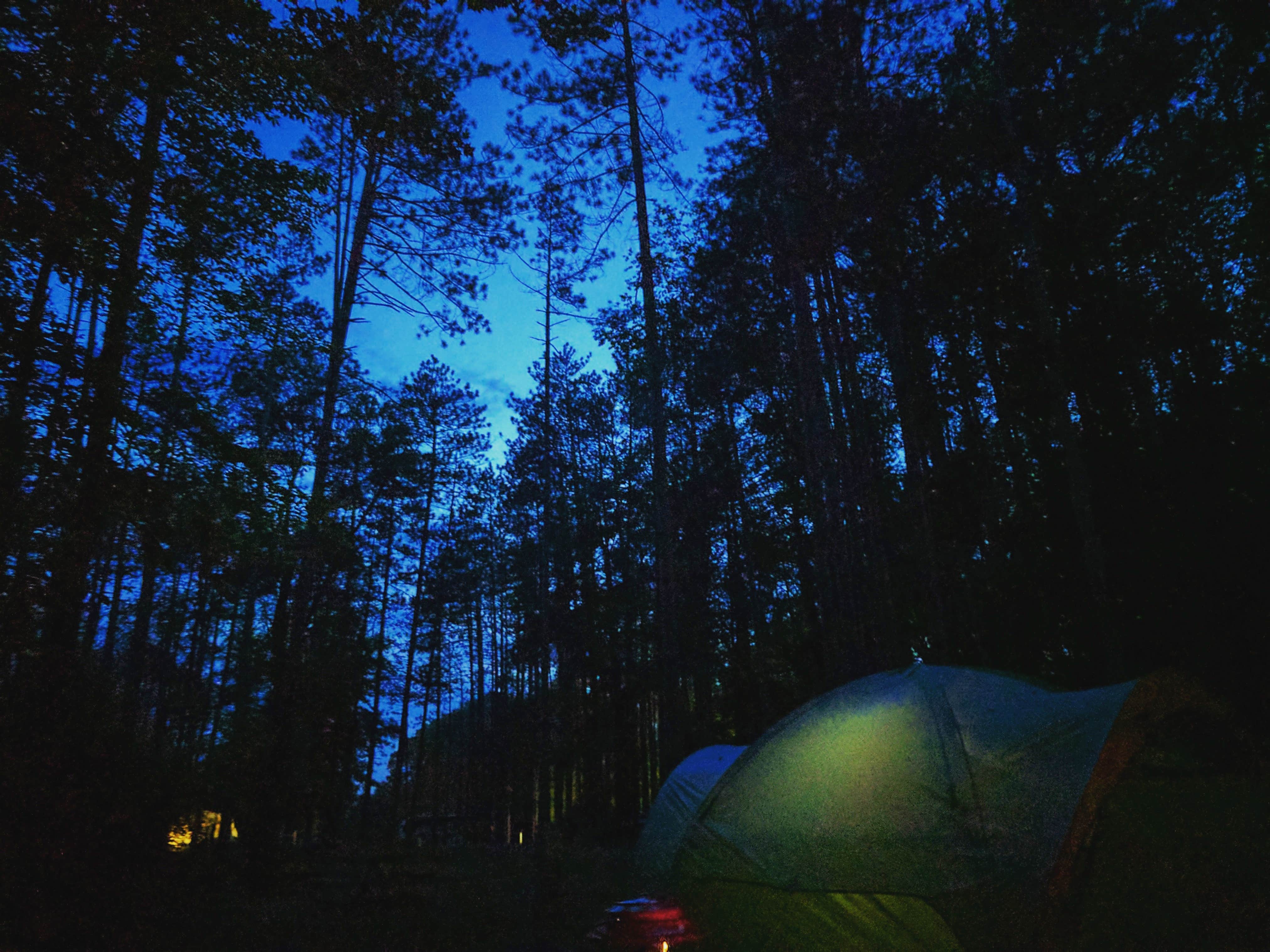 Camper submitted image from Mt Gilead State Park Campground - 2