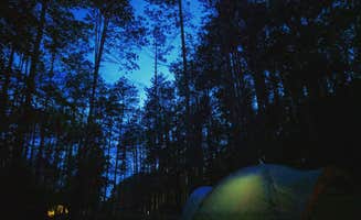 Rachel L.'s photo at Mt Gilead State Park Campground near Richwood, OH