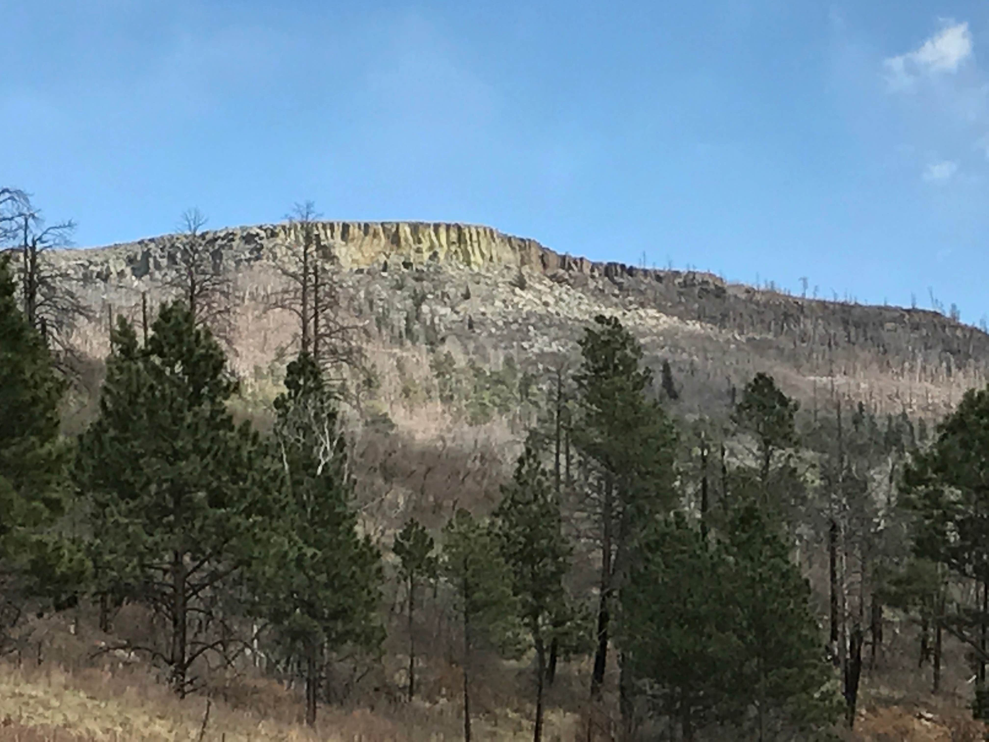 Camper submitted image from Lake Alice Campground — Sugarite Canyon State Park - 2