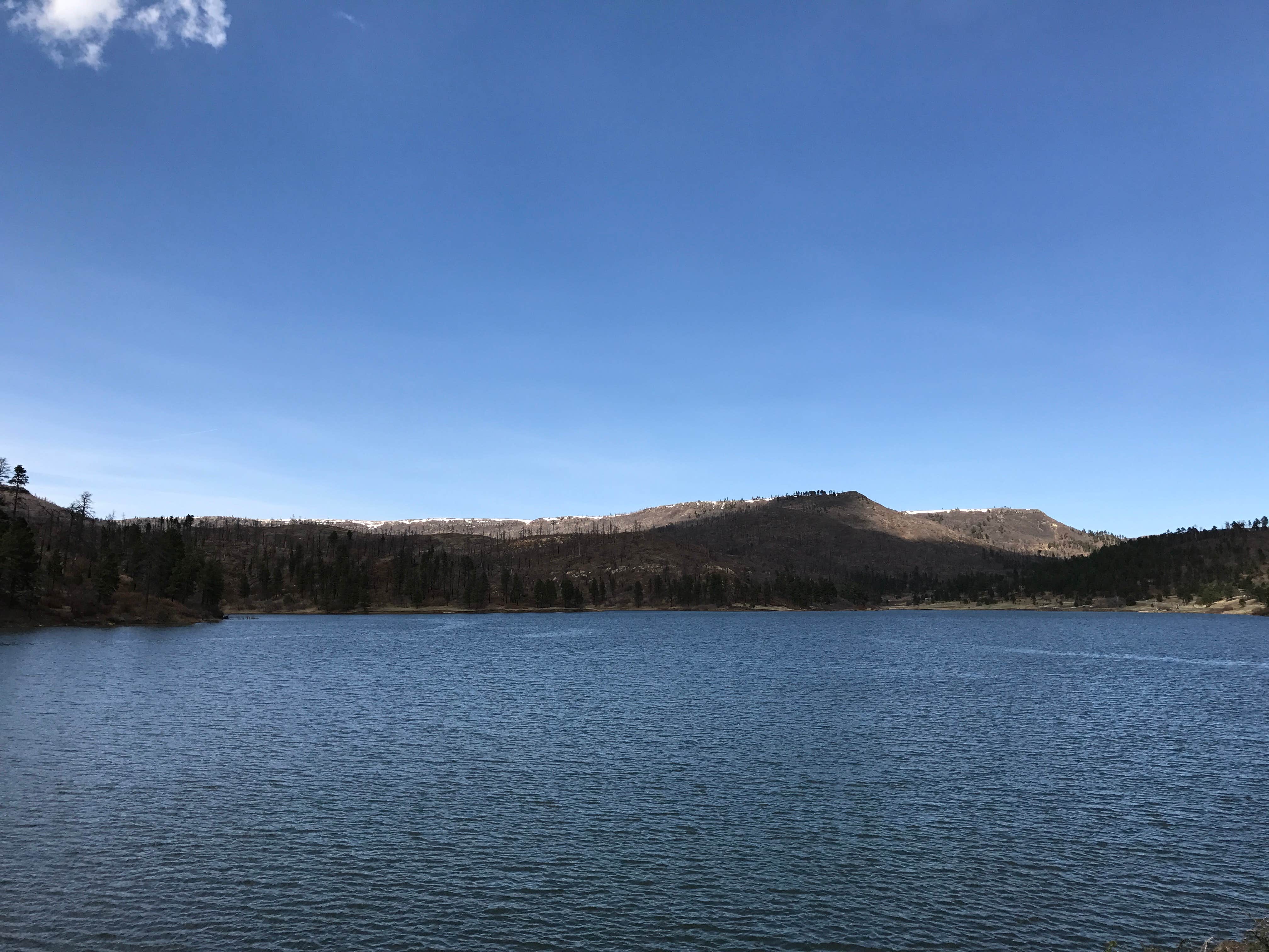 Camper submitted image from Lake Alice Campground — Sugarite Canyon State Park - 4