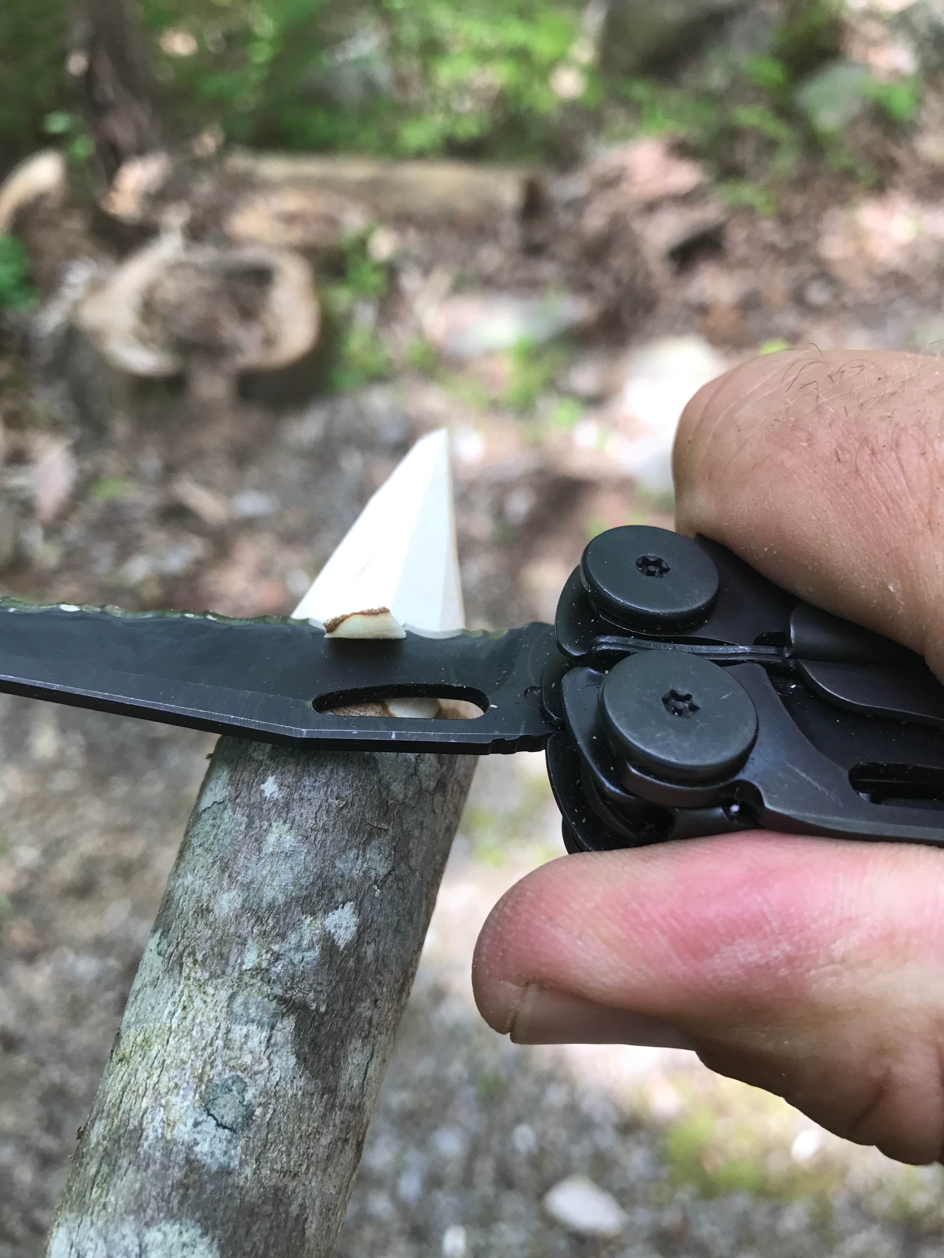 Camping near Capulin RV Park: Lake Alice Campground — Sugarite Canyon State Park, Raton, New Mexico