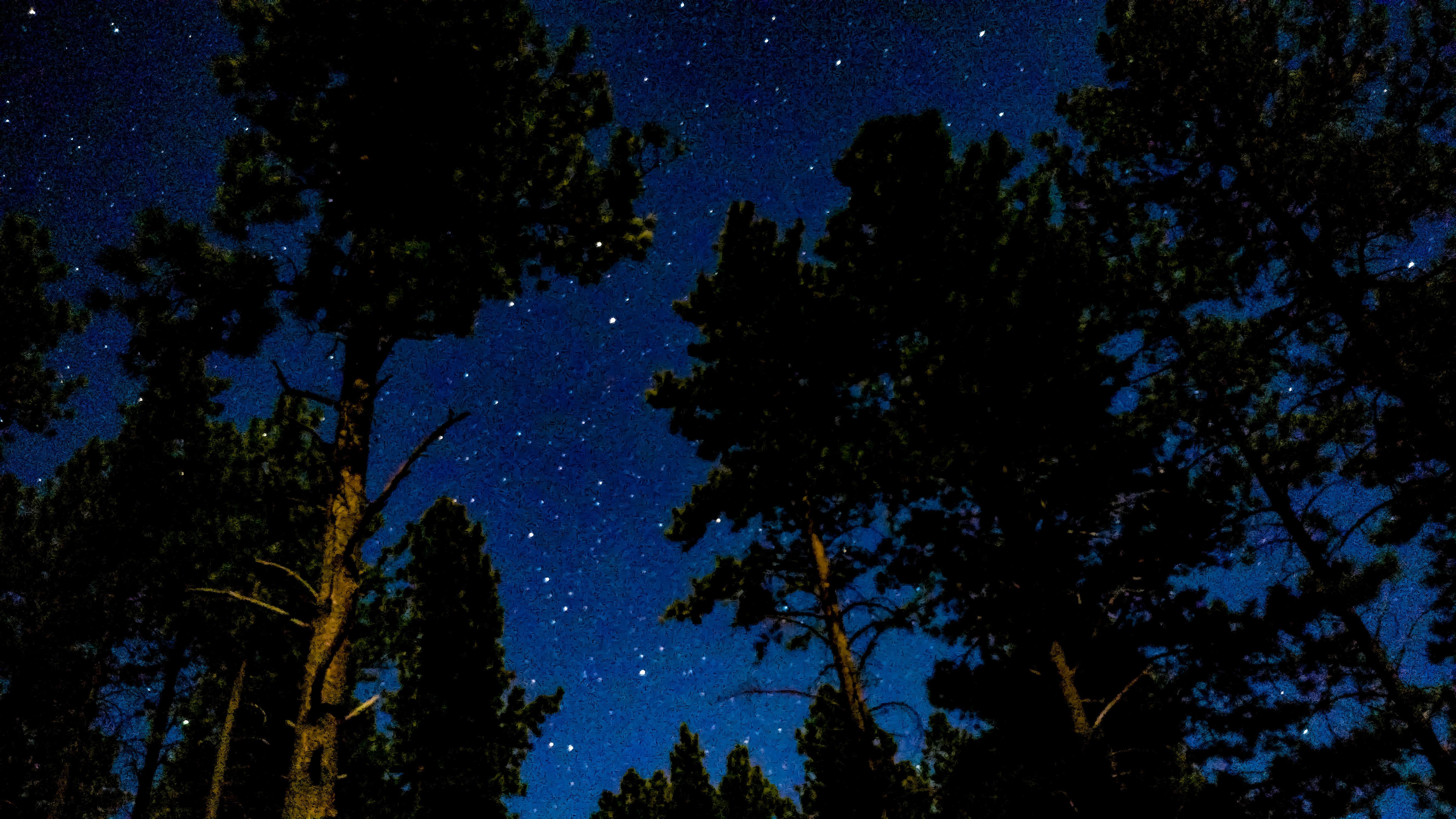 Camper submitted image from Buckeye Campground - 2