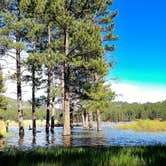 Review photo of Buckeye Campground by Natalie J., June 12, 2017