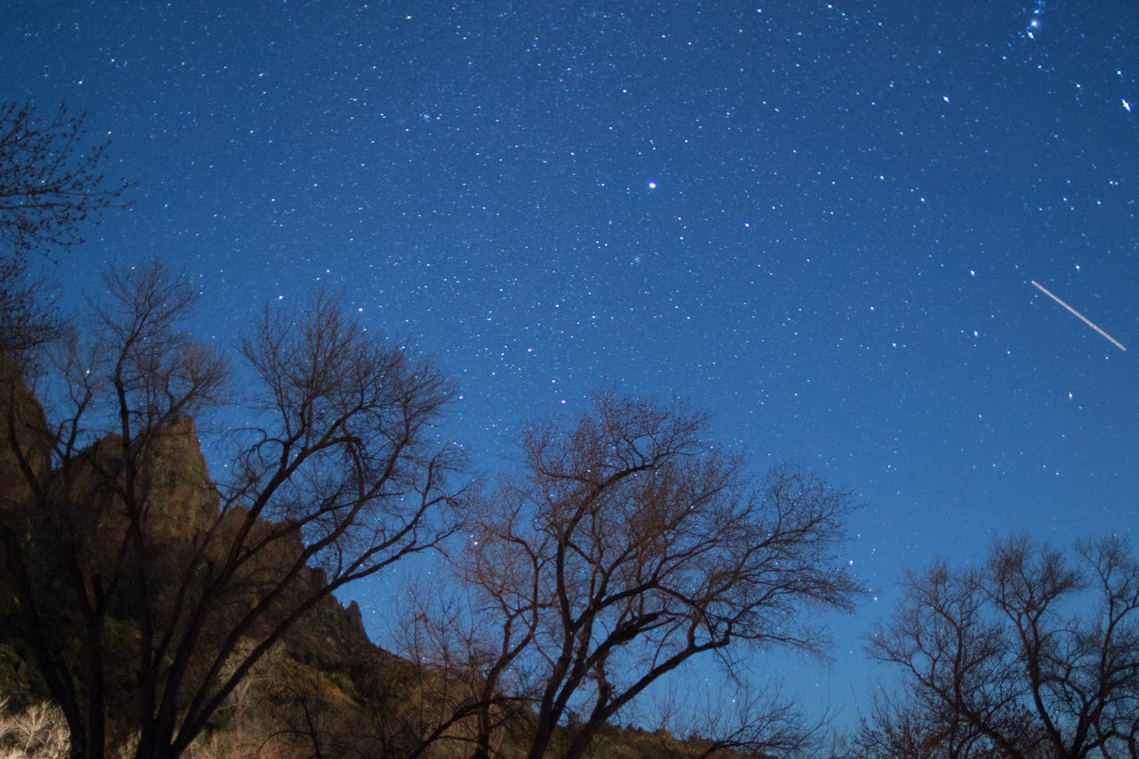 Camper submitted image from South Campground — Zion National Park - 2