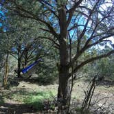 Review photo of Mather Campground — Grand Canyon National Park by Will M., June 12, 2017