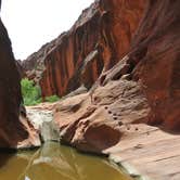 Review photo of Red Cliffs Campground by Will M., June 12, 2017