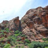 Review photo of Red Cliffs Campground by Will M., June 12, 2017
