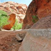Review photo of Red Cliffs Campground by Will M., June 12, 2017