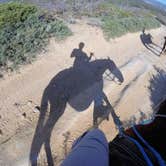 Review photo of Zion RV and Campground (Hi-Road) by Will M., June 12, 2017