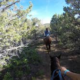 Review photo of Zion RV and Campground (Hi-Road) by Will M., June 12, 2017