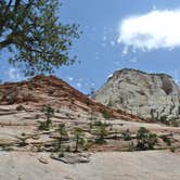 Review photo of Zion RV and Campground (Hi-Road) by Will M., June 12, 2017