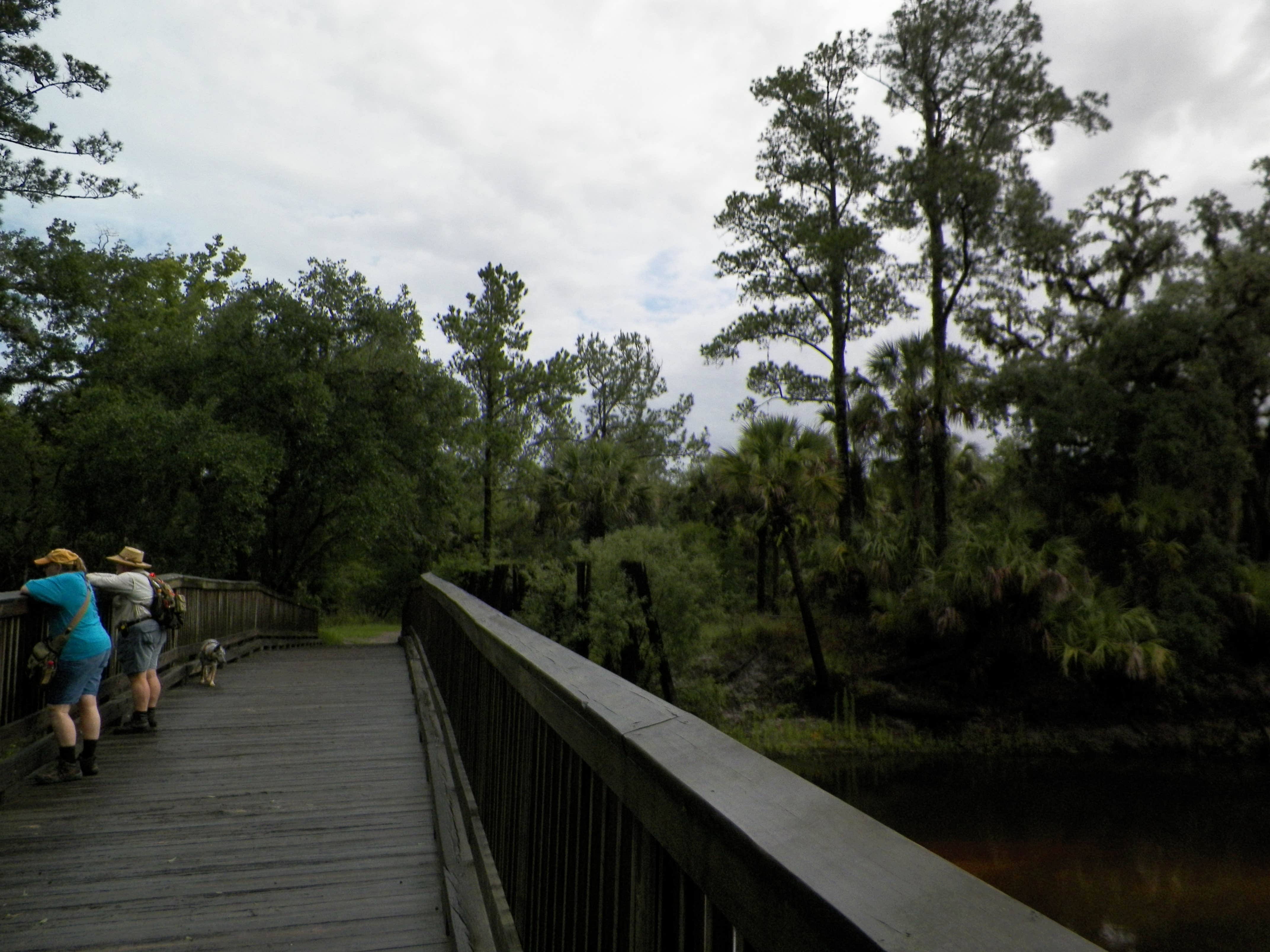 Camper submitted image from Little Big Econ State Forest Primitive Camping - East Camp Zone - 3