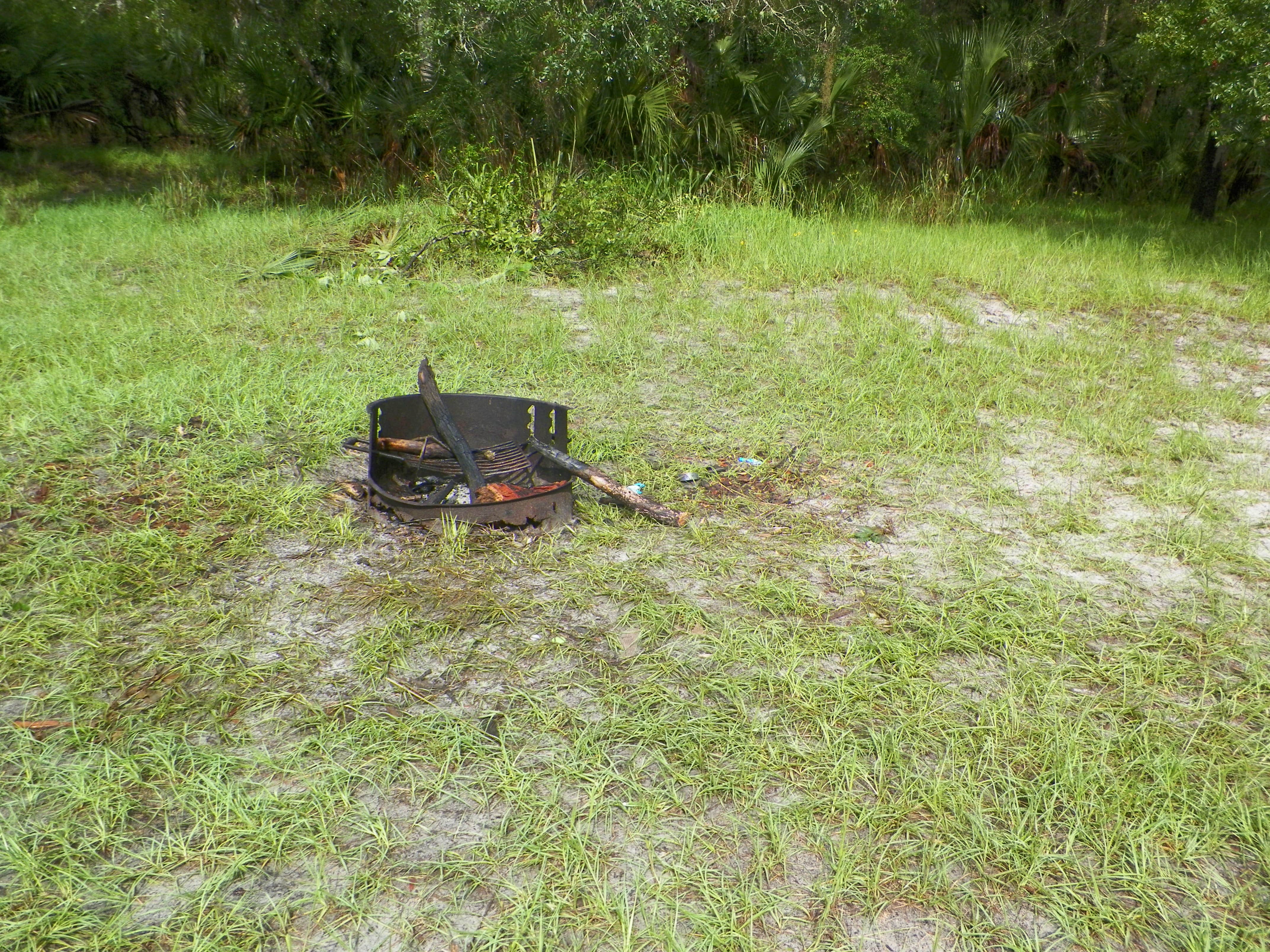 Little big econ state forest camping 2025
